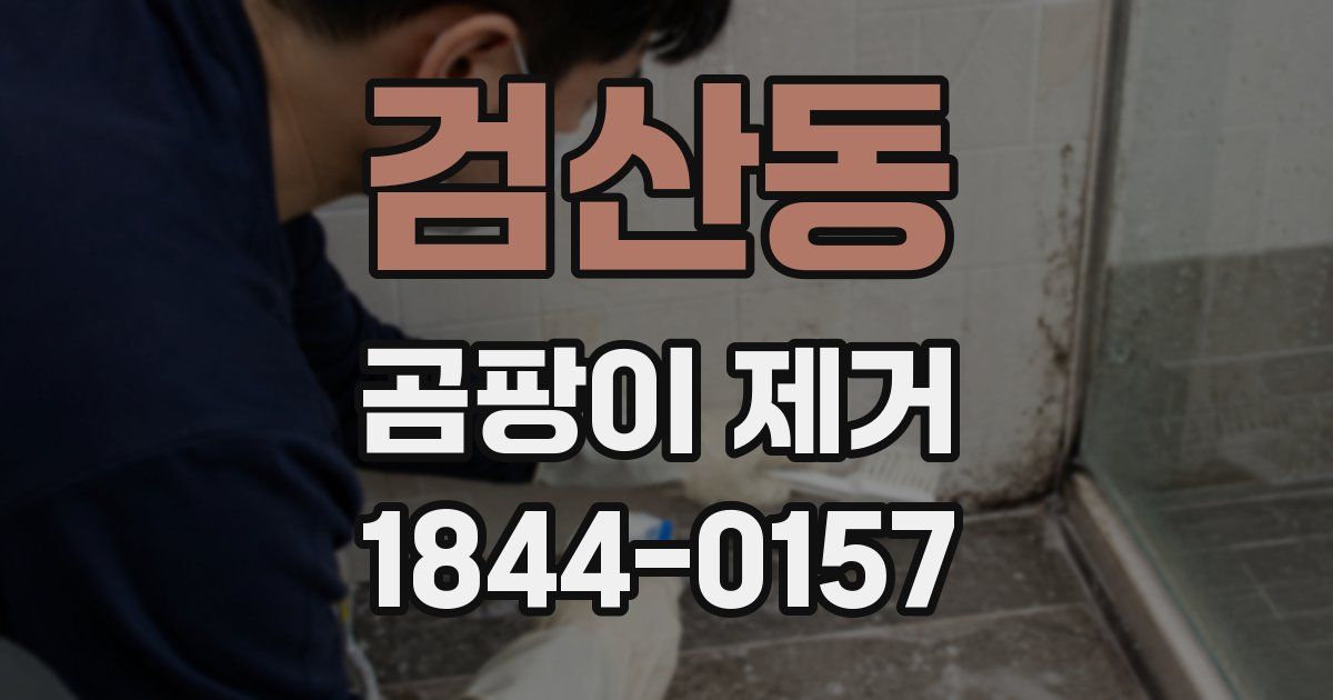 검산동 곰팡이 제거