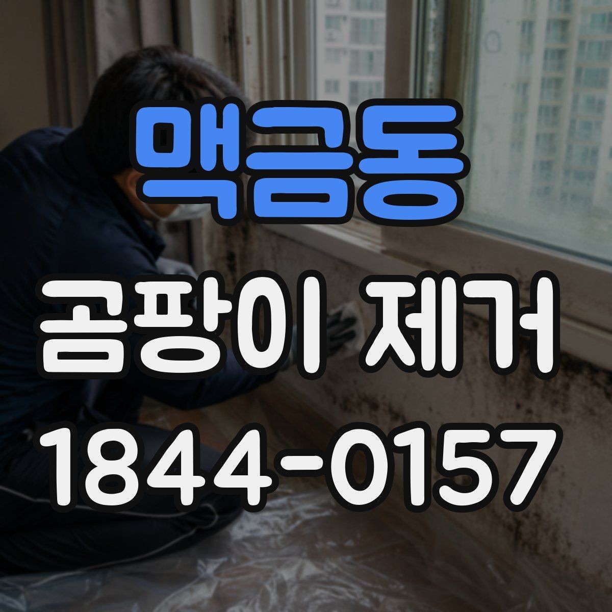 맥금동 곰팡이 제거 집안 구조별 취약 지점 살펴보기