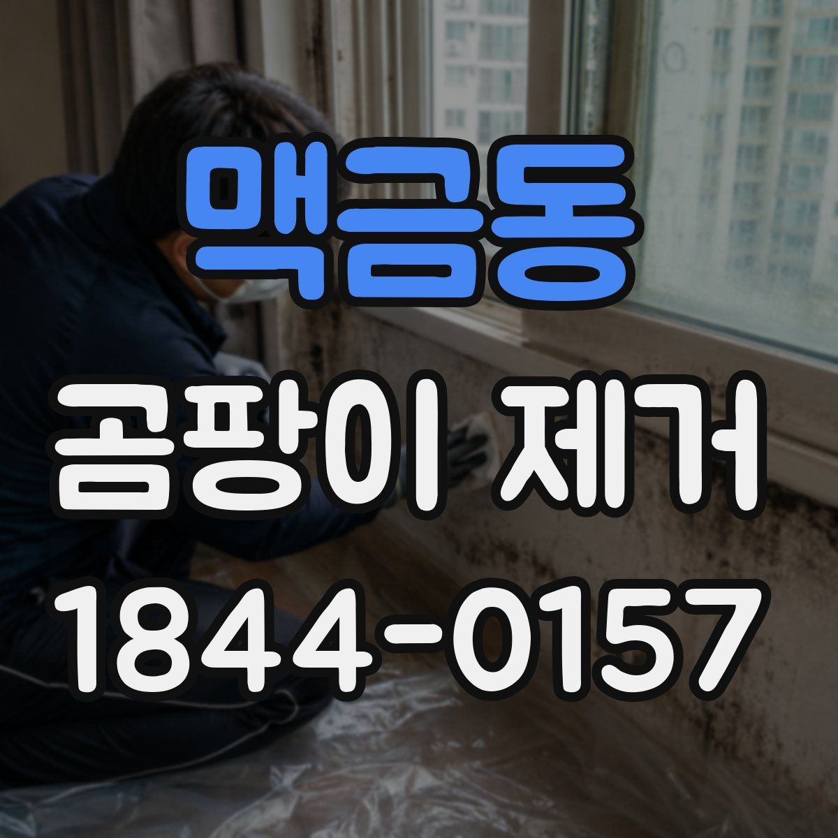 맥금동 곰팡이 제거