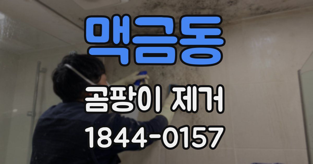 맥금동 곰팡이 제거