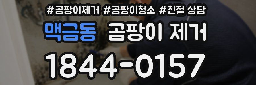 맥금동 곰팡이 제거