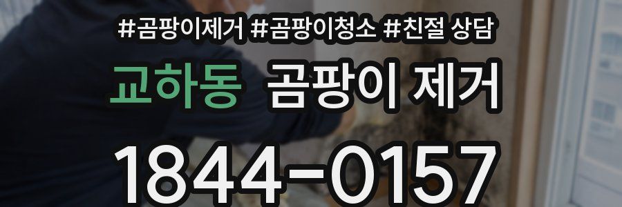 교하동 곰팡이 제거