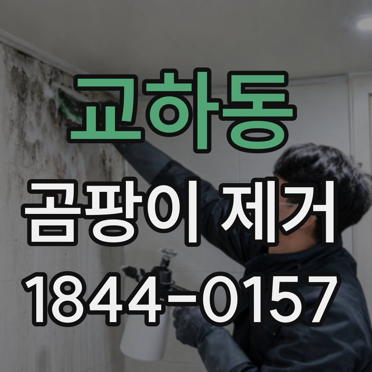 교하동 곰팡이 제거