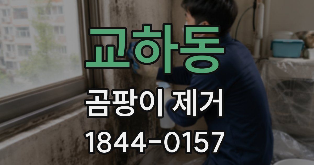 교하동 곰팡이 제거