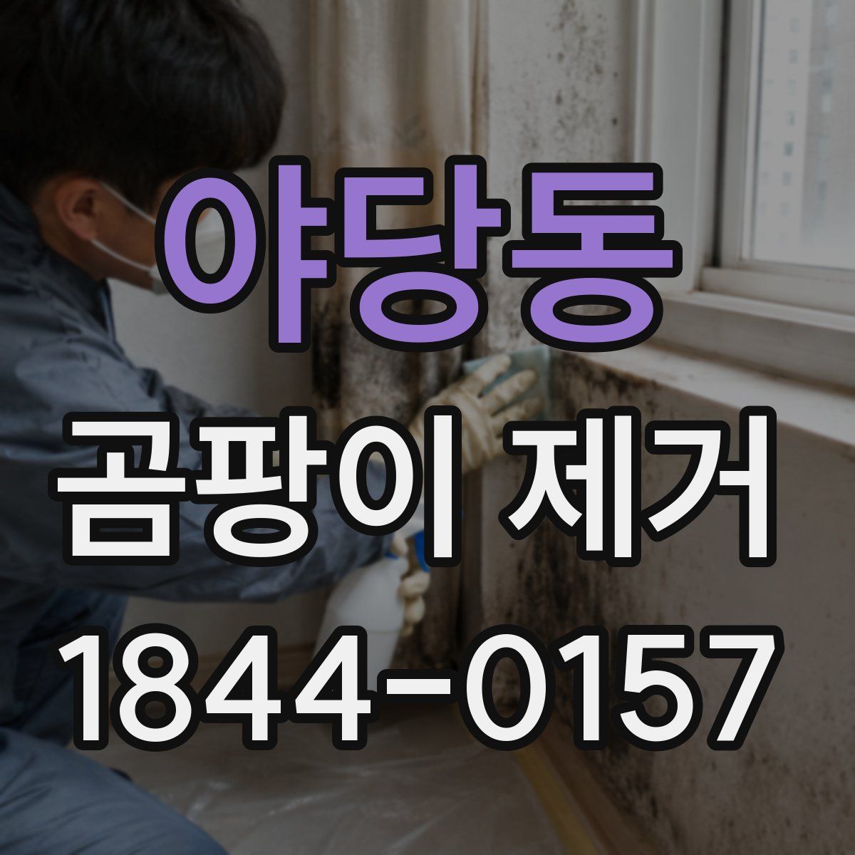 야당동 곰팡이 제거