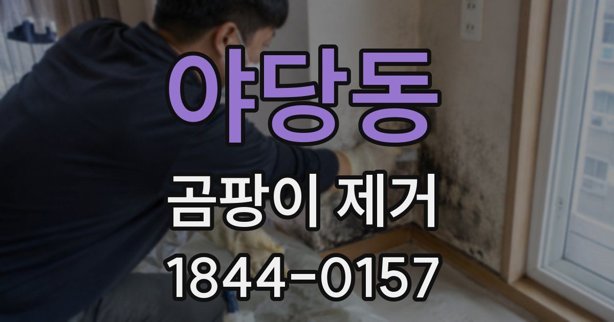 야당동 곰팡이 제거