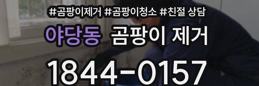야당동 곰팡이 제거