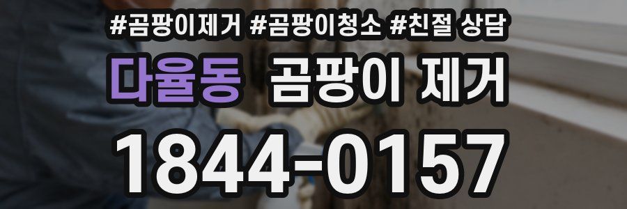 다율동 곰팡이 제거