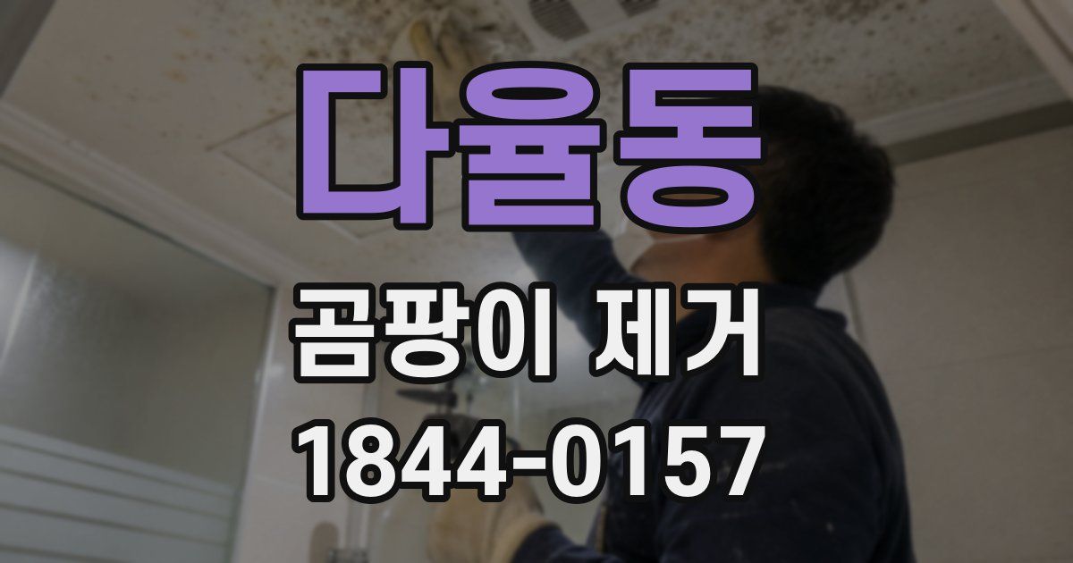 다율동 곰팡이 제거