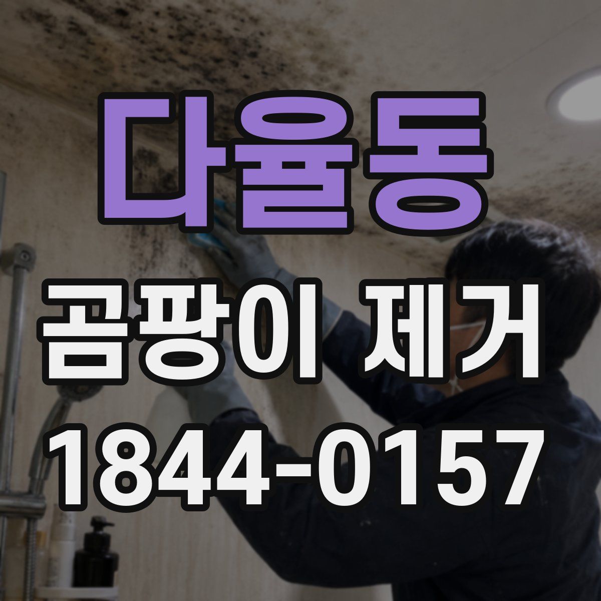 다율동 곰팡이 제거