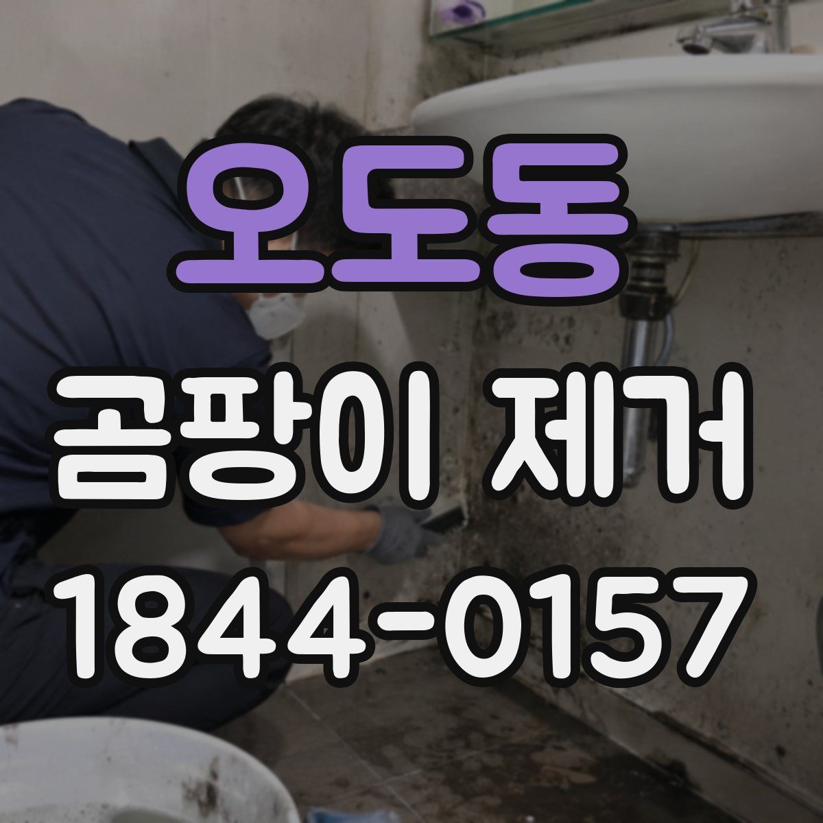 오도동 곰팡이 제거