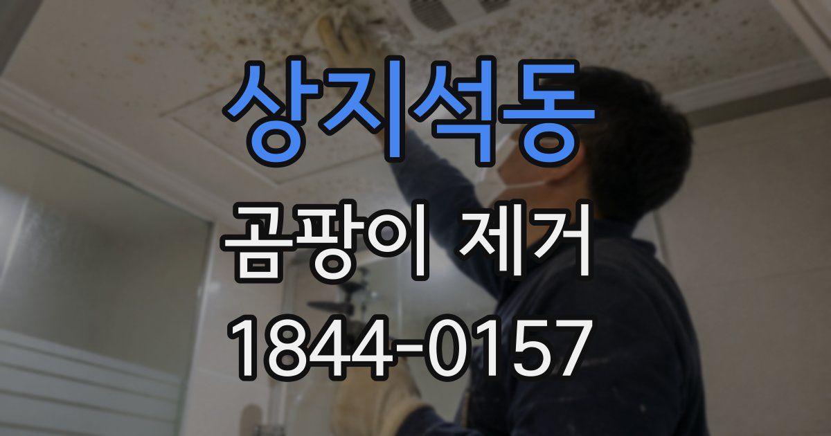 상지석동 곰팡이 제거