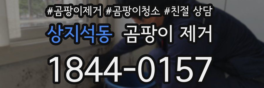 상지석동 곰팡이 제거