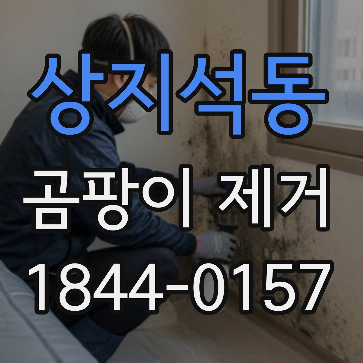상지석동 곰팡이 제거