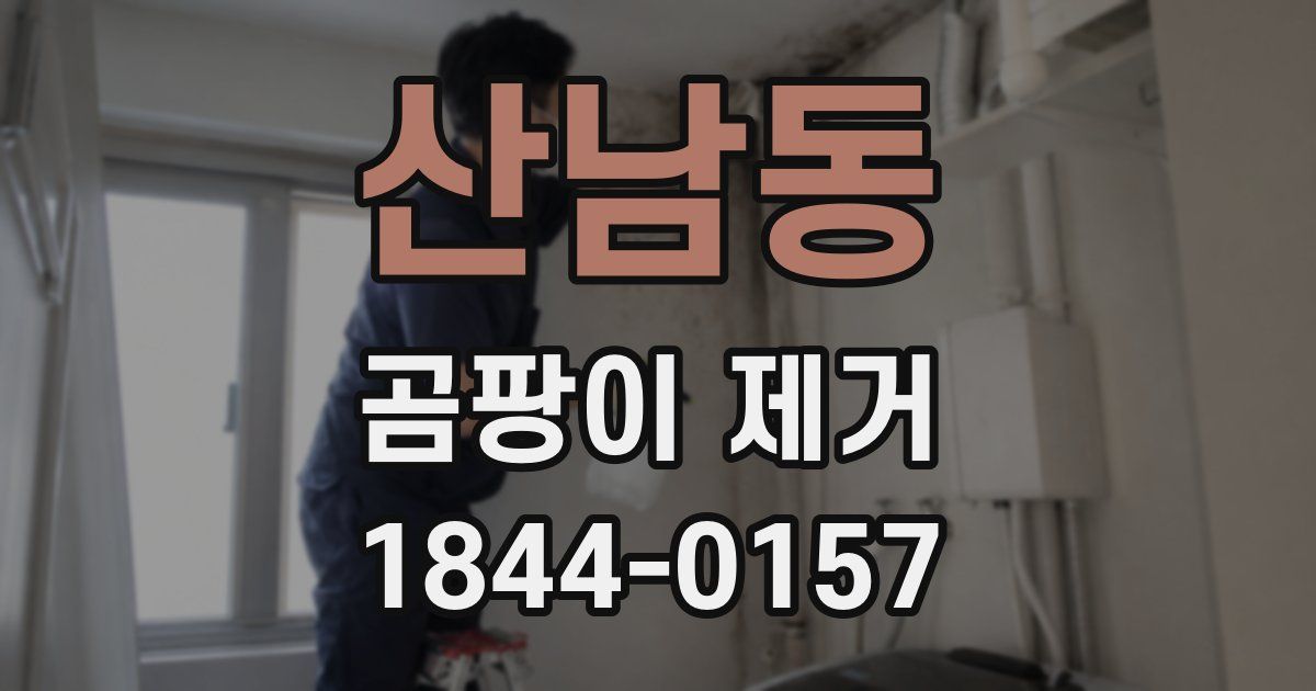 산남동 곰팡이 제거