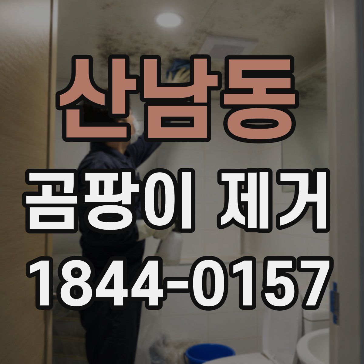 산남동 곰팡이 제거