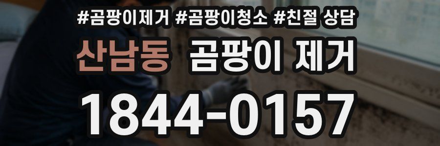 산남동 곰팡이 제거