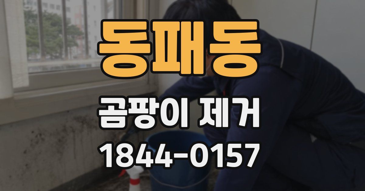 동패동 곰팡이 제거