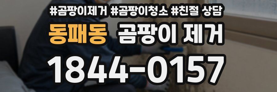 동패동 곰팡이 제거