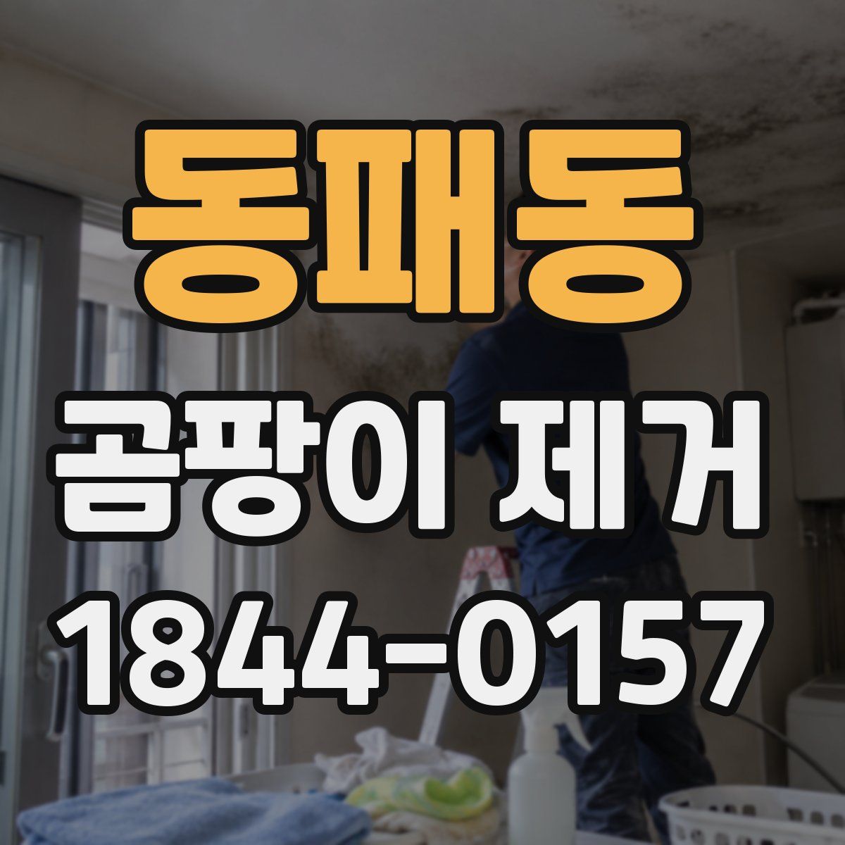 동패동 곰팡이 제거