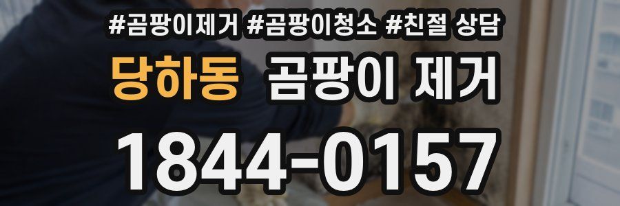 당하동 곰팡이 제거
