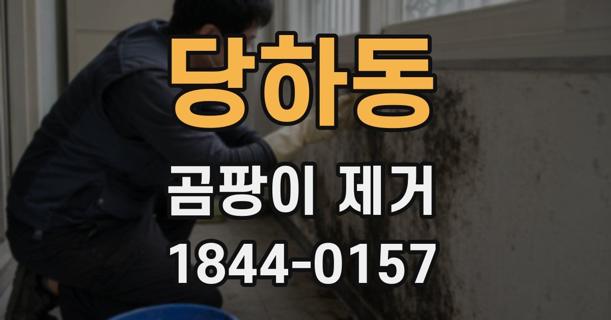 당하동 곰팡이 제거