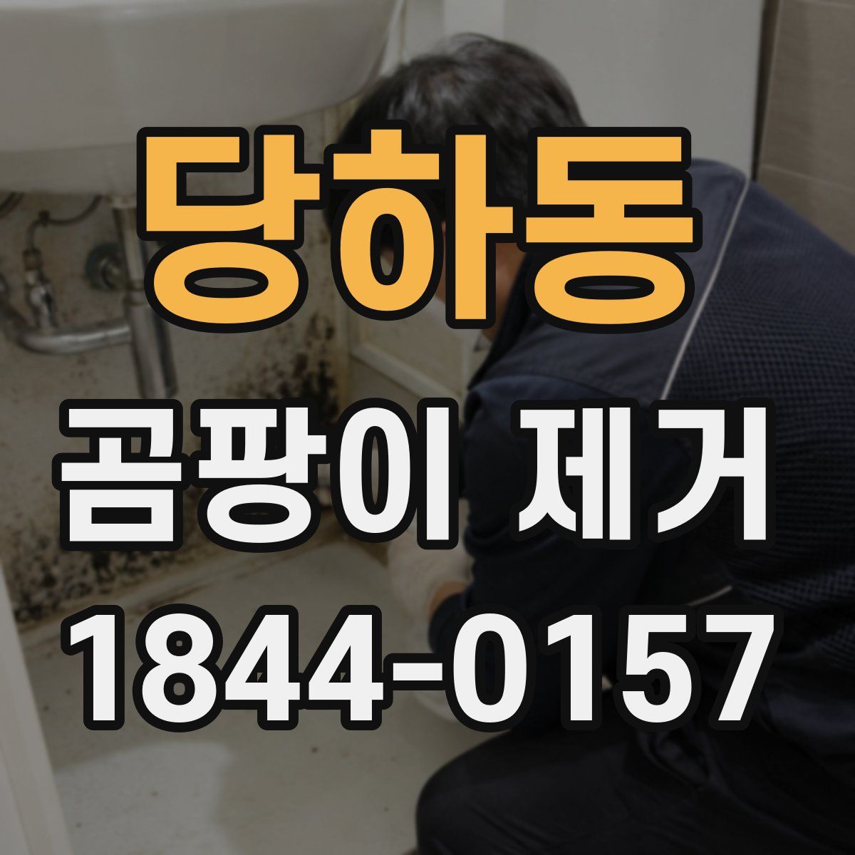 당하동 곰팡이 제거