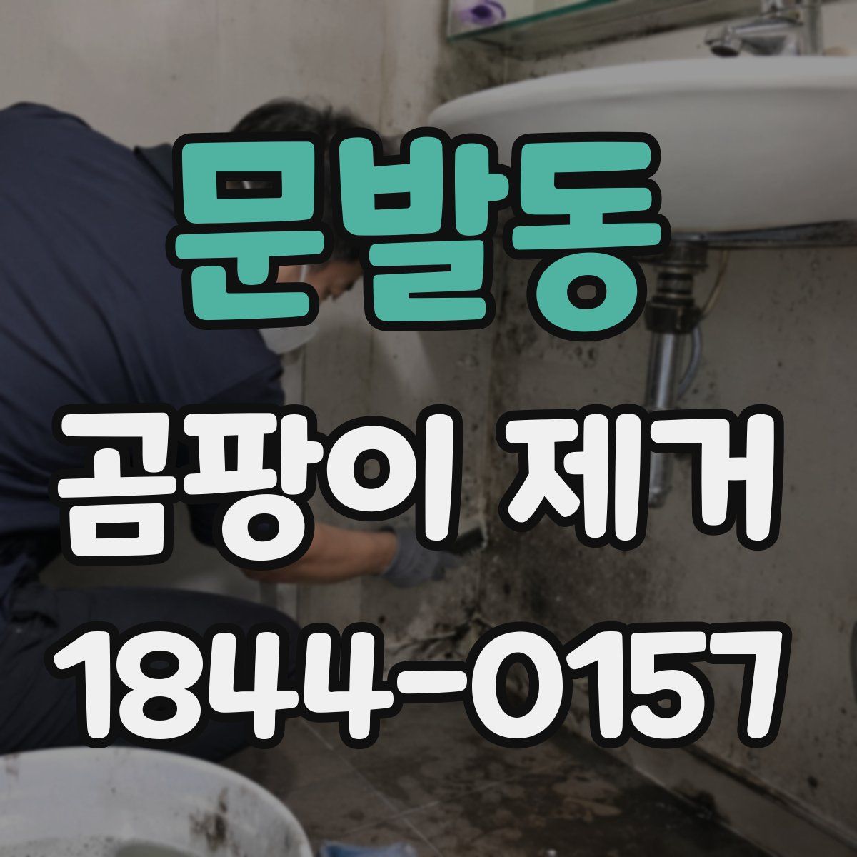 문발동 곰팡이 제거