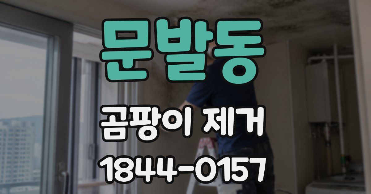 문발동 곰팡이 제거