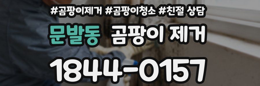 문발동 곰팡이 제거
