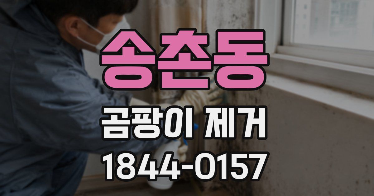 송촌동 곰팡이 제거