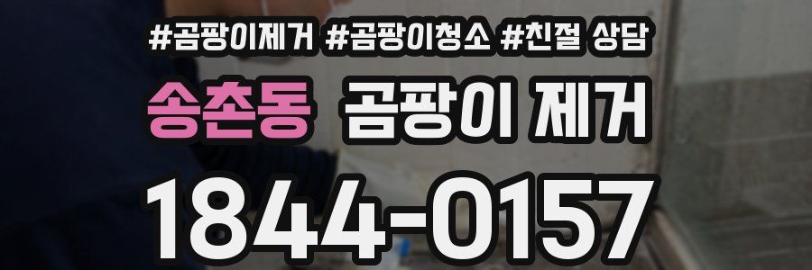 송촌동 곰팡이 제거