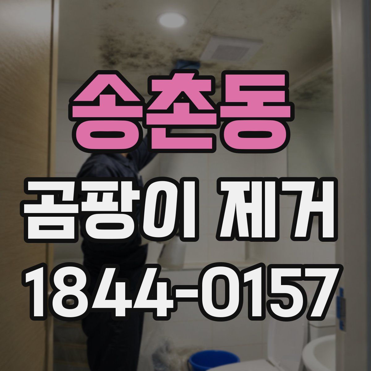 송촌동 곰팡이 제거