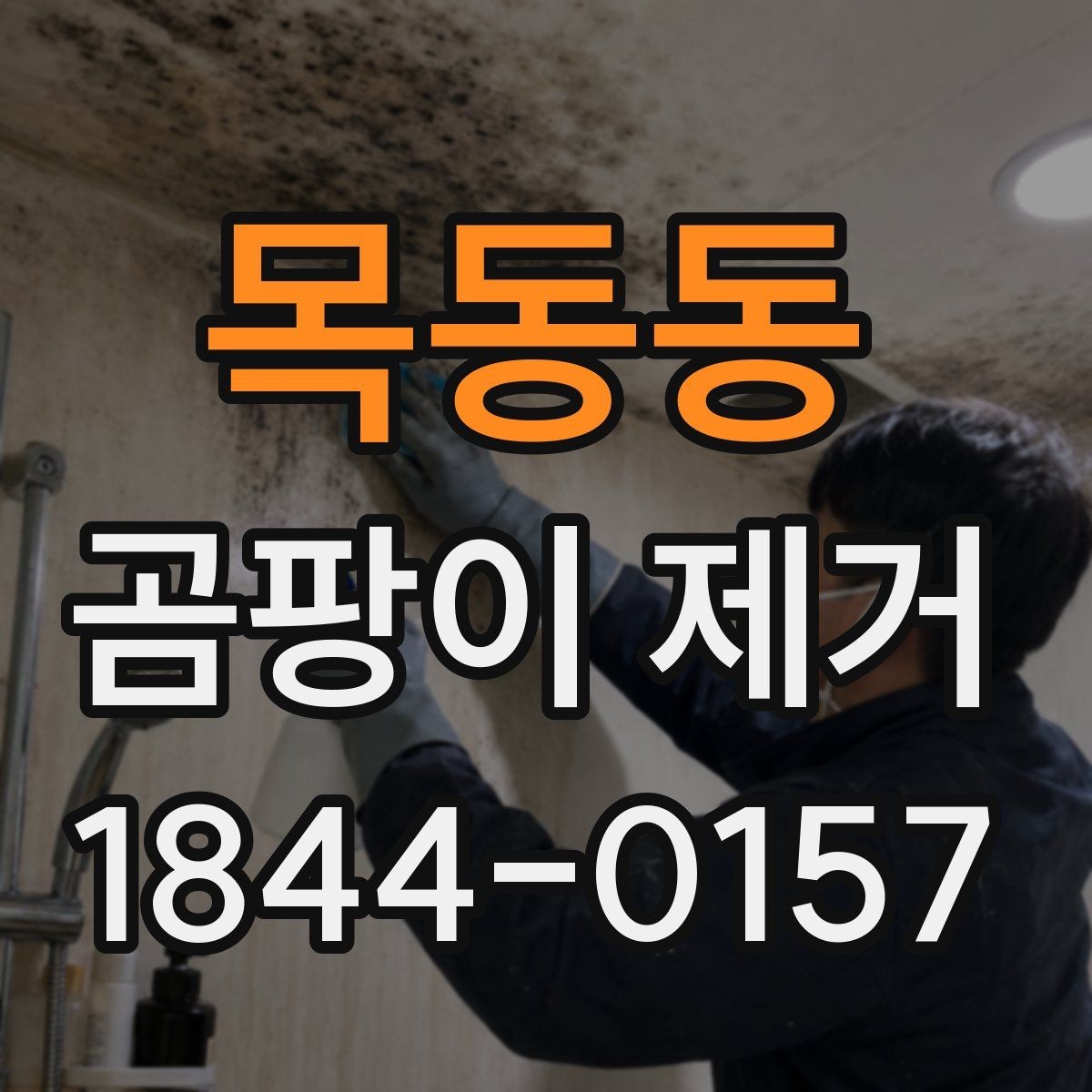 목동동 곰팡이 제거 상담 시 확인해야 할 작업 항목