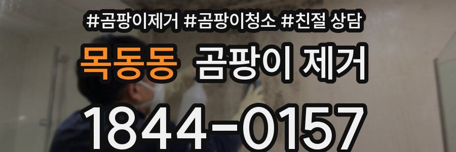 목동동 곰팡이 제거