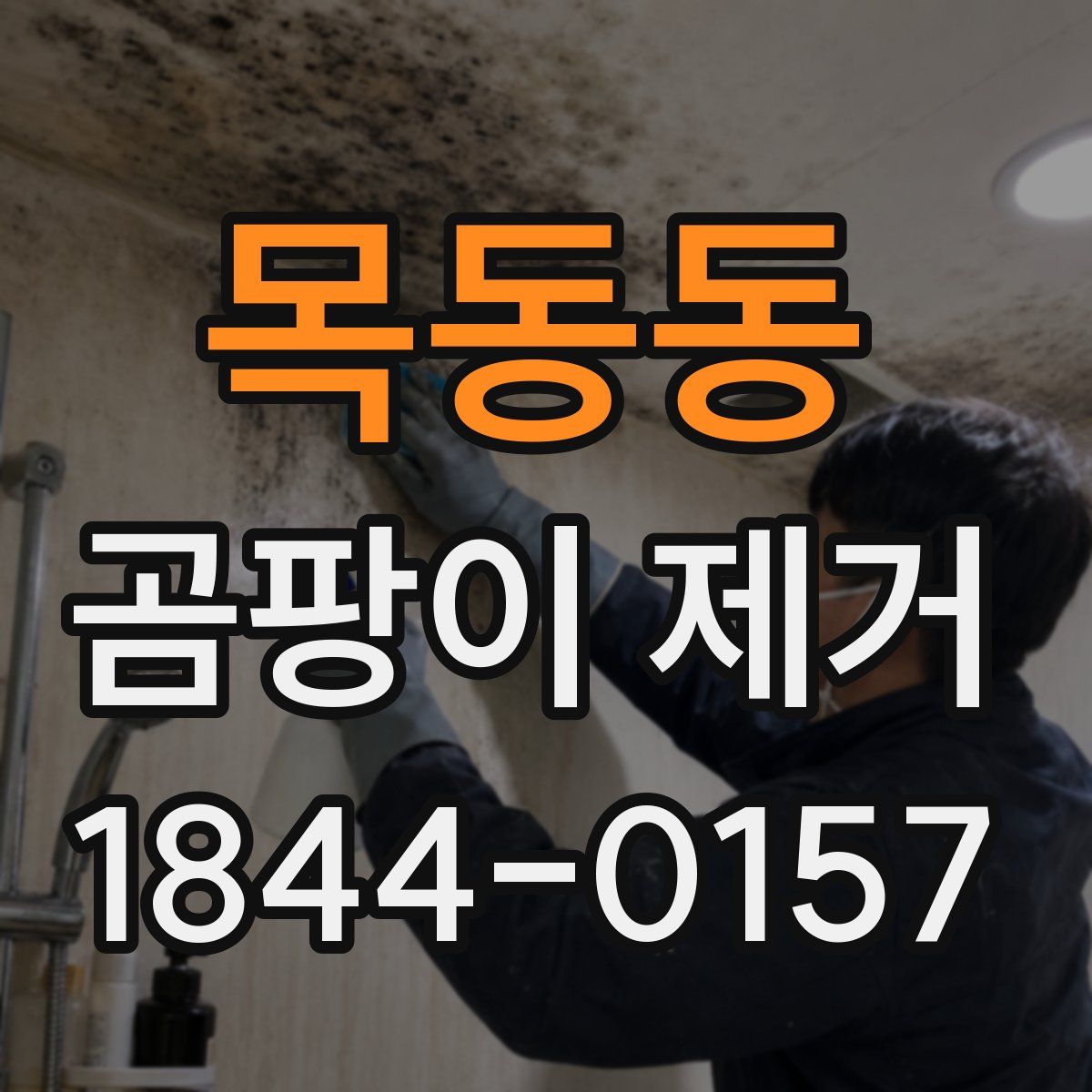 목동동 곰팡이 제거
