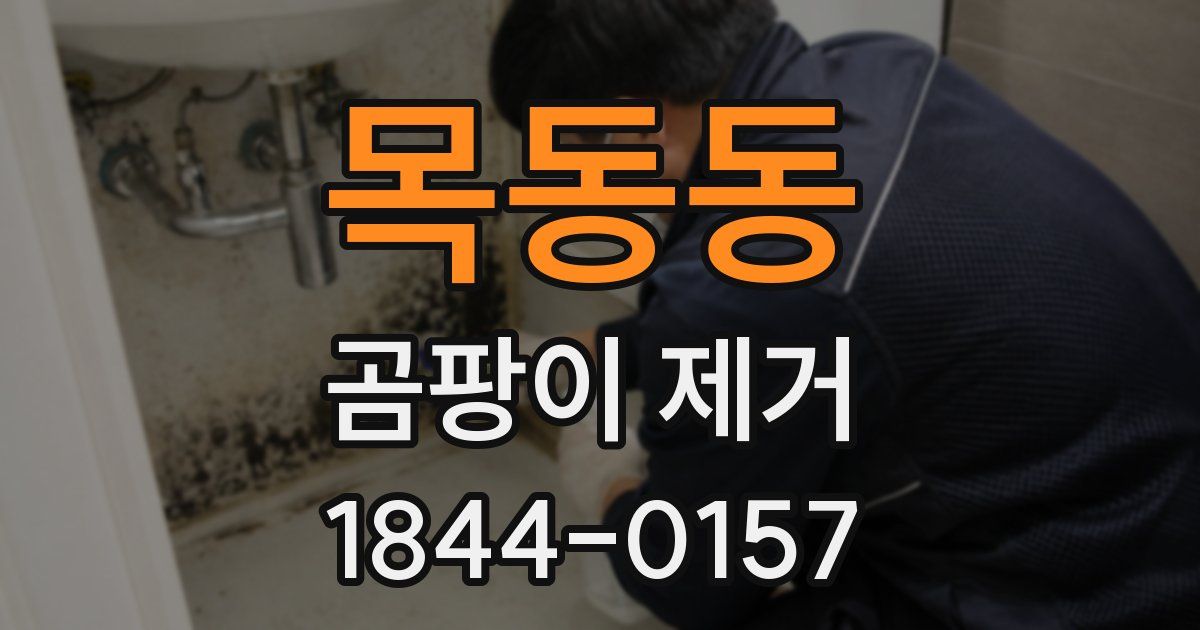 목동동 곰팡이 제거