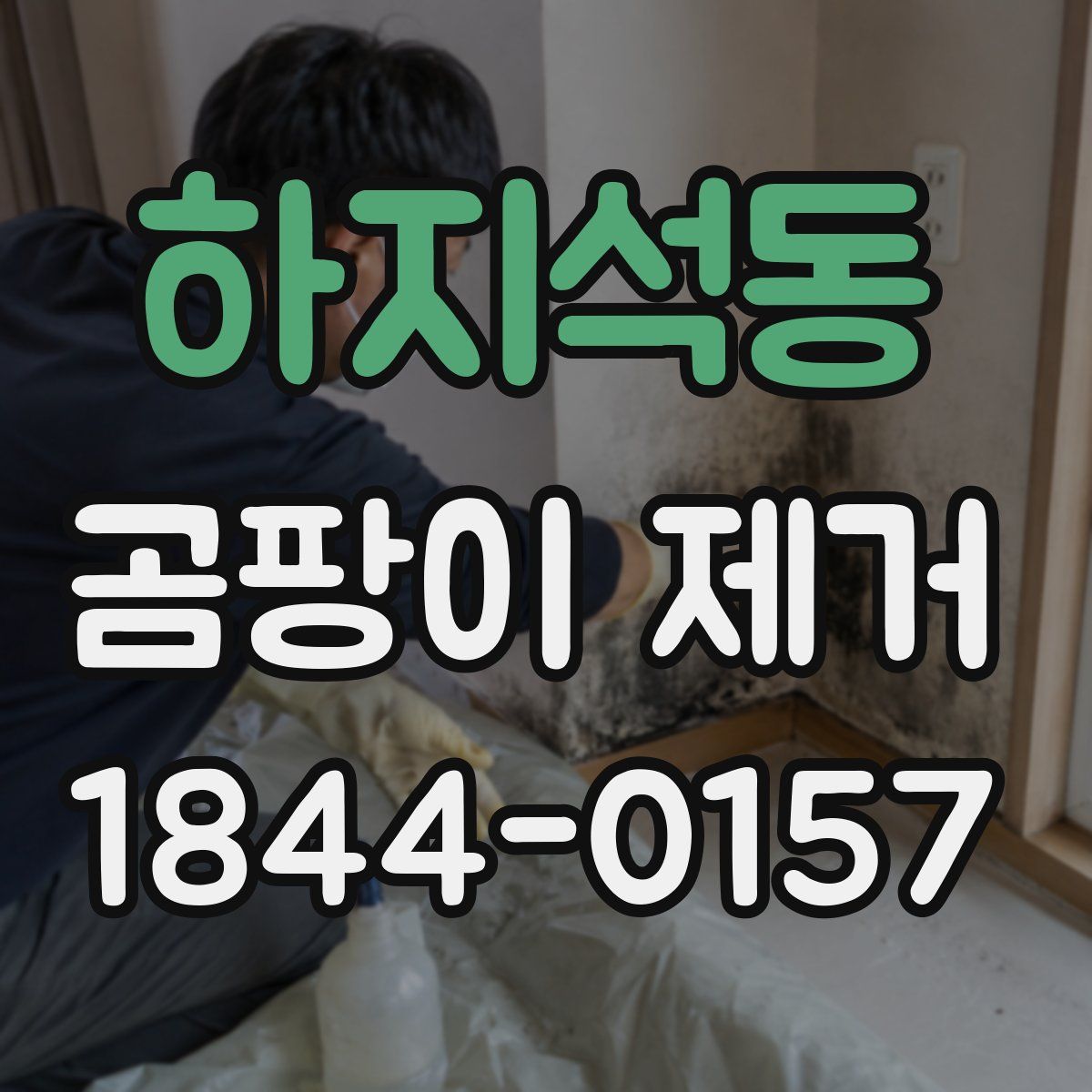 하지석동 곰팡이 제거