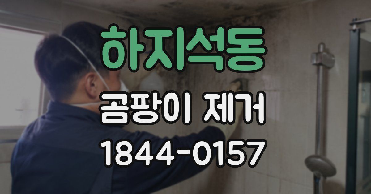 하지석동 곰팡이 제거