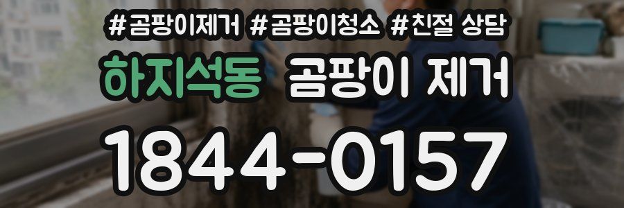 하지석동 곰팡이 제거