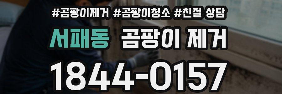 서패동 곰팡이 제거