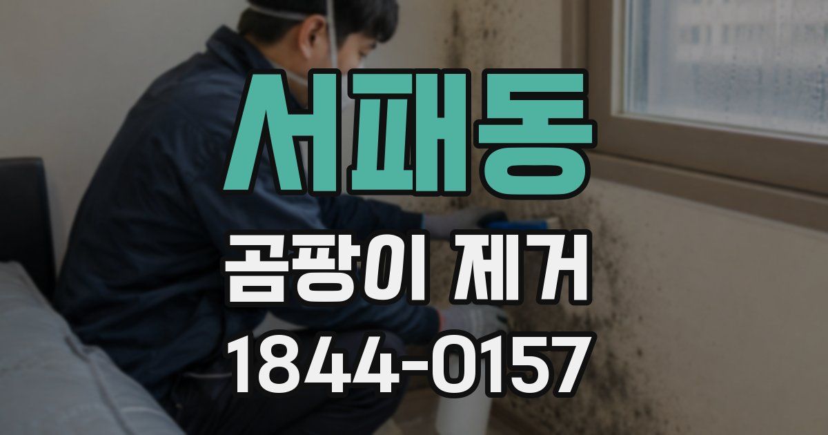 서패동 곰팡이 제거