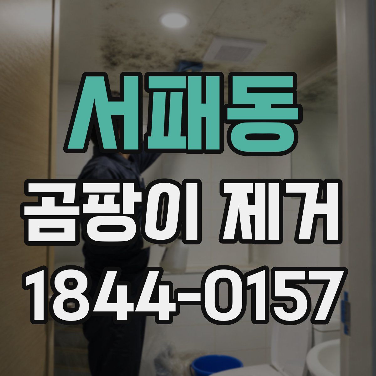 서패동 곰팡이 제거