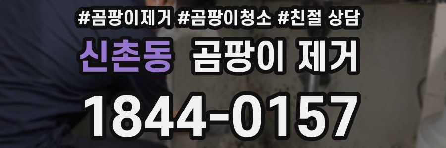 신촌동 곰팡이 제거