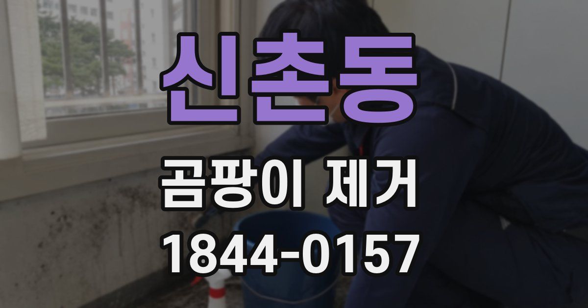 신촌동 곰팡이 제거