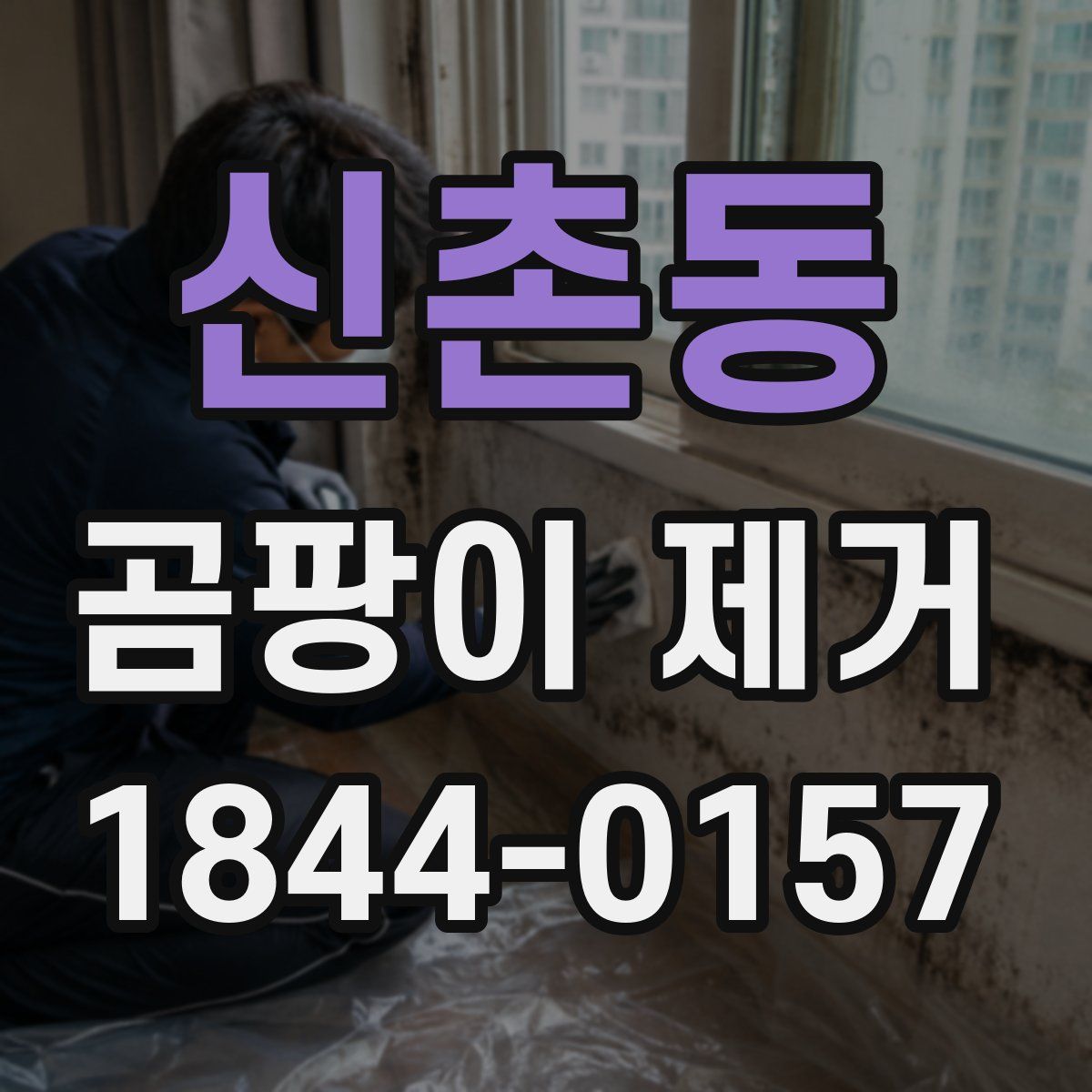 신촌동 곰팡이 제거