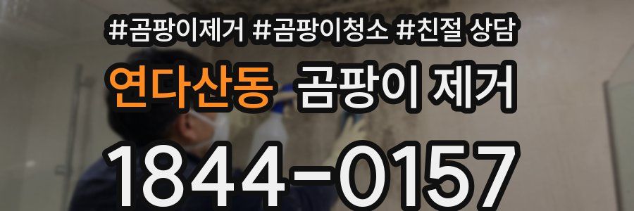 연다산동 곰팡이 제거