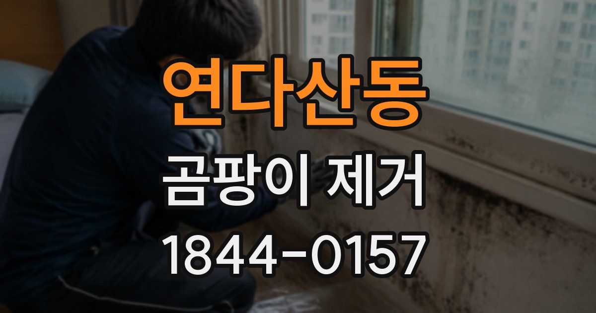 연다산동 곰팡이 제거