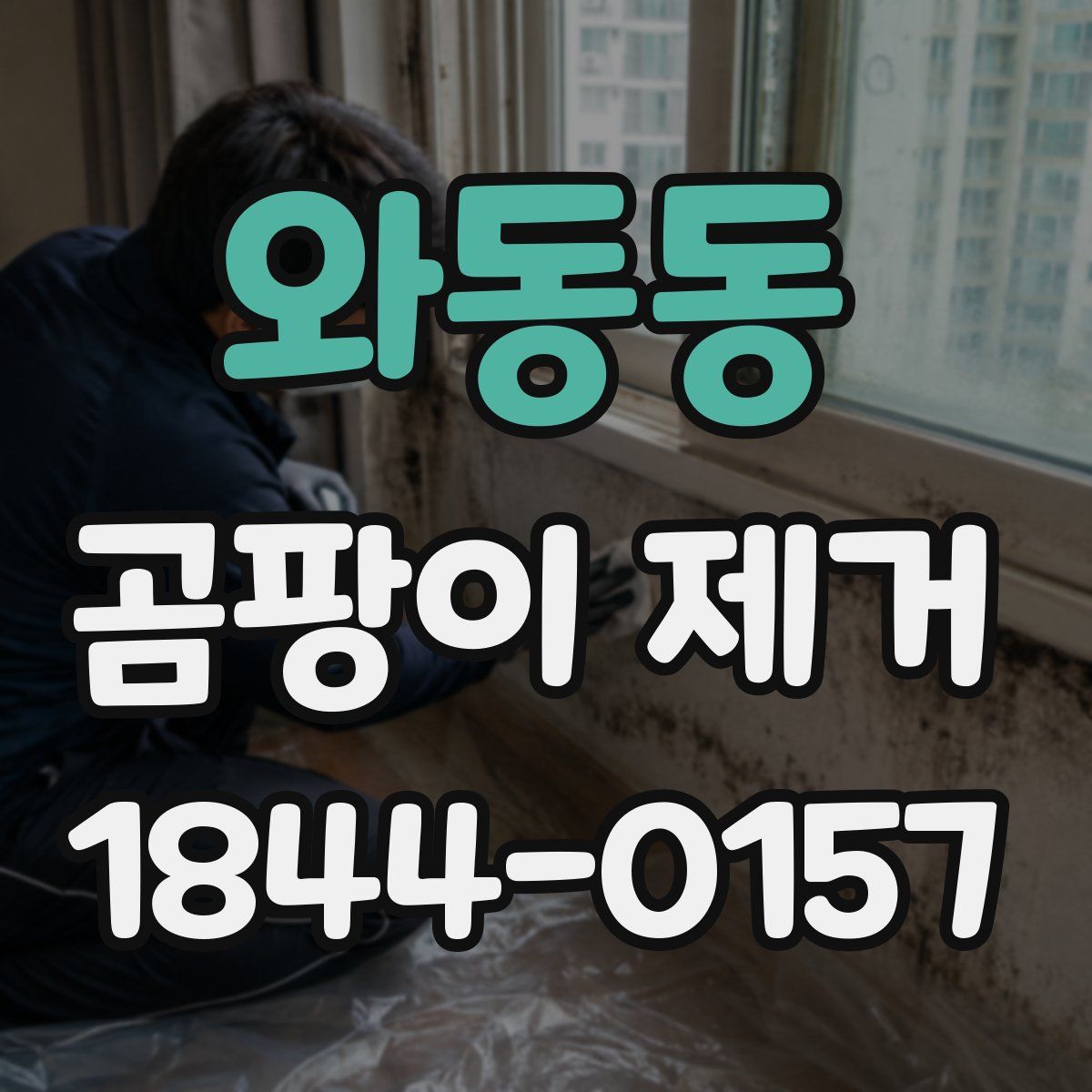 와동동 곰팡이 제거