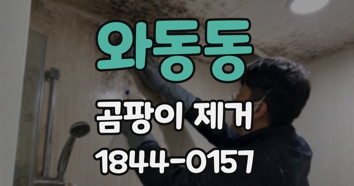 와동동 곰팡이 제거